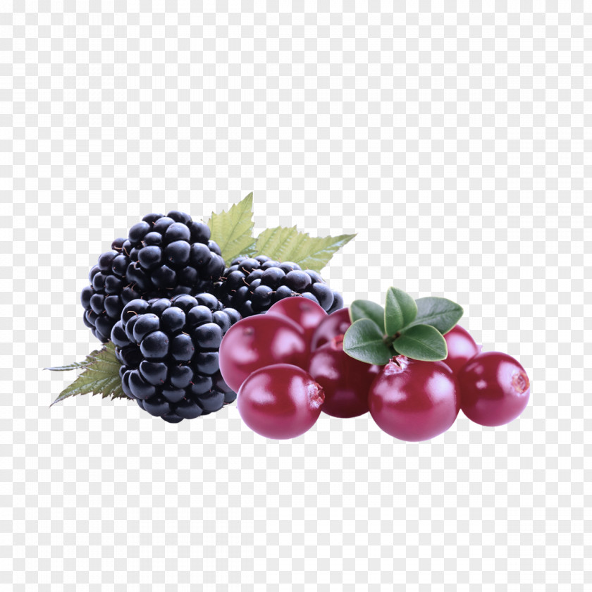 Superfood Food Berry Blackberry Fruit Frutti Di Bosco Natural Foods PNG