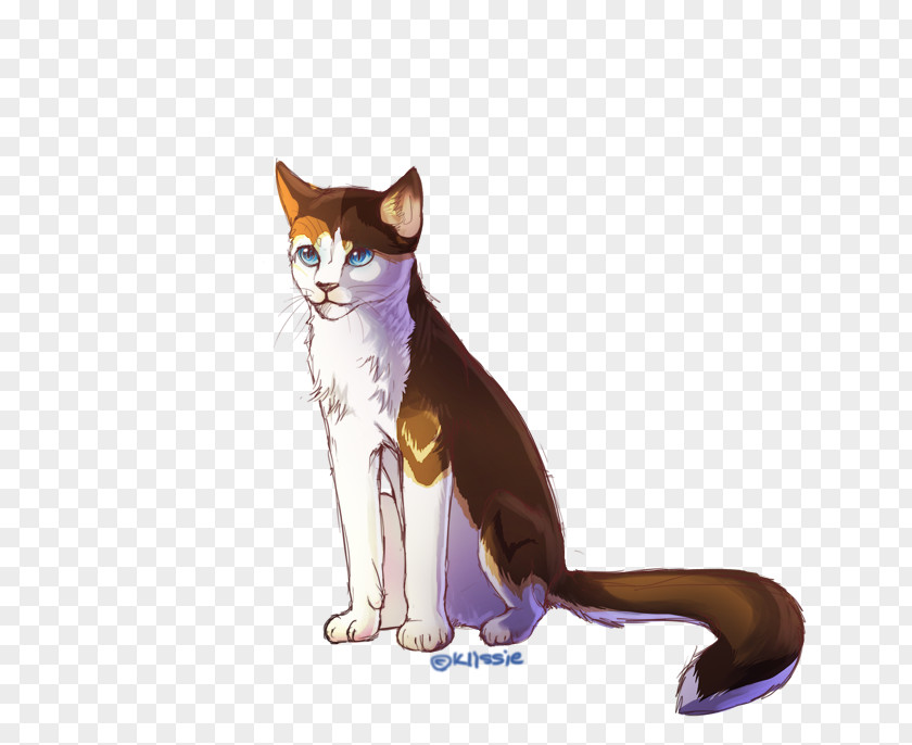 Tangled Sun Whiskers American Wirehair Domestic Short-haired Cat Cartoon Illustration PNG