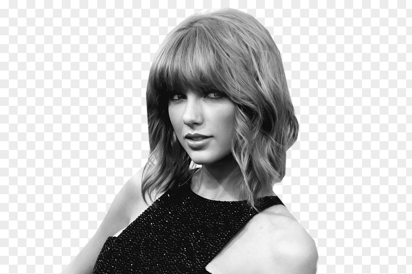 Taylor Swift Fearless Tour Reputation PNG