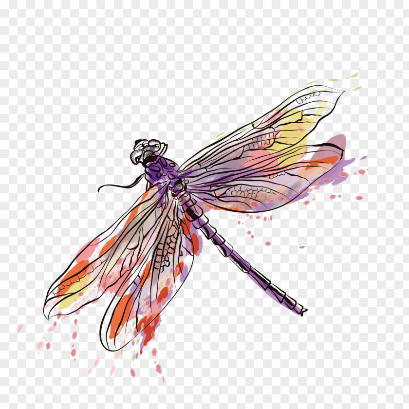 Vector Ink Dragonfly Insect Euclidean PNG
