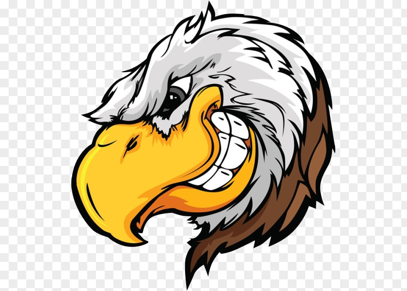 A Bald Eagle Falcon Cartoon Clip Art PNG