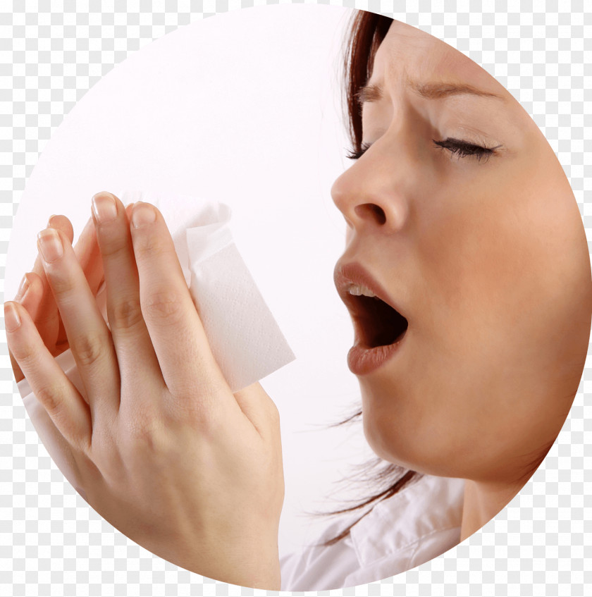 Allergy To Cats Asthma Immune System Medicine PNG