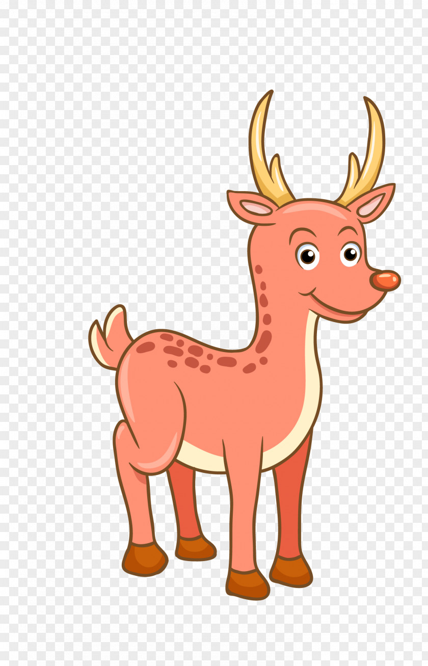 Baio Vector Graphics Image Cartoon Deer PNG