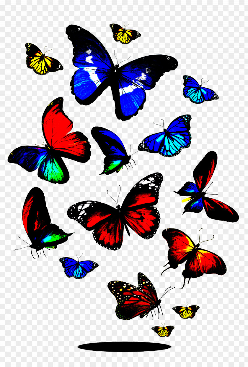 Colorful Butterfly Royalty-free Stock Photography Clip Art PNG