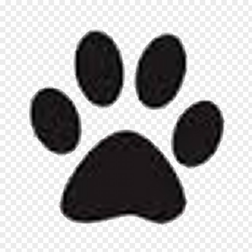Dog Cat Vector Graphics Paw Illustration PNG