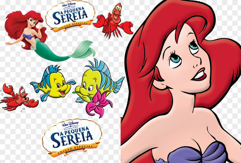 PEQUENA SEREIA The Little Mermaid Ariel Clip Art PNG