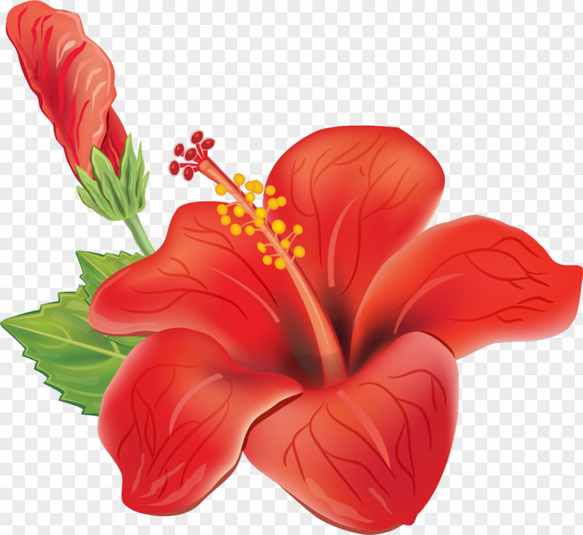 Puja Flower Clip Art PNG