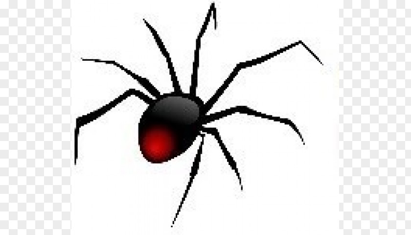 Spider Redback Clip Art Openclipart Image PNG