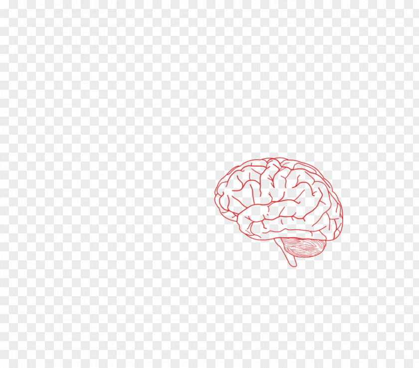 Cartoon Picture Of A Brain Organism Mug Font PNG