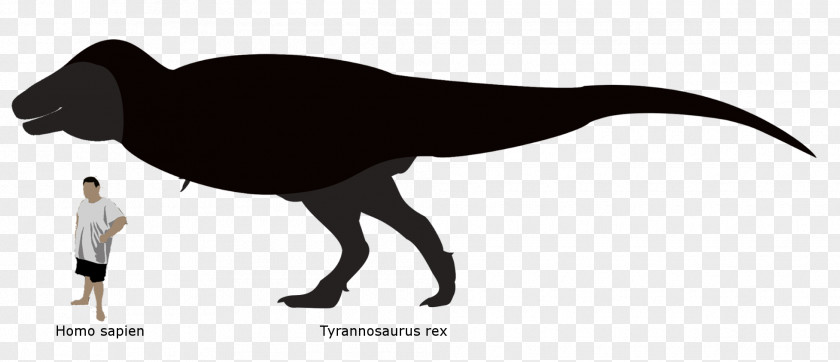 Cute T Rex Silhouette Fauna Beak PNG