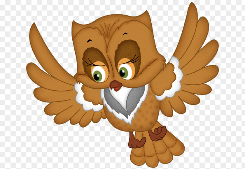 Owl Bird Airplane Flight Clip Art PNG
