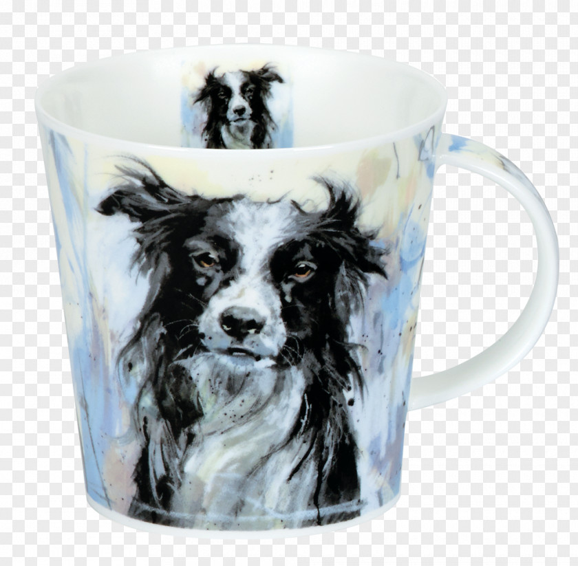 Puppy Dog Breed Border Collie Rough PNG