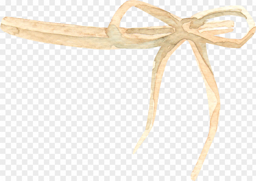 Rope Bow Shoelace Knot Download High-definition Television PNG