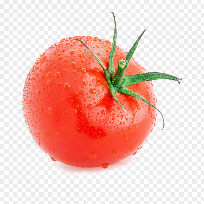 Tomato Plum Cherry Pizza Vegetable Slicer PNG