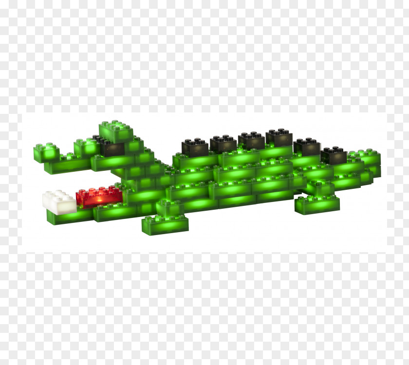 Bird Light Turtle Dinosaur Crocodiles PNG