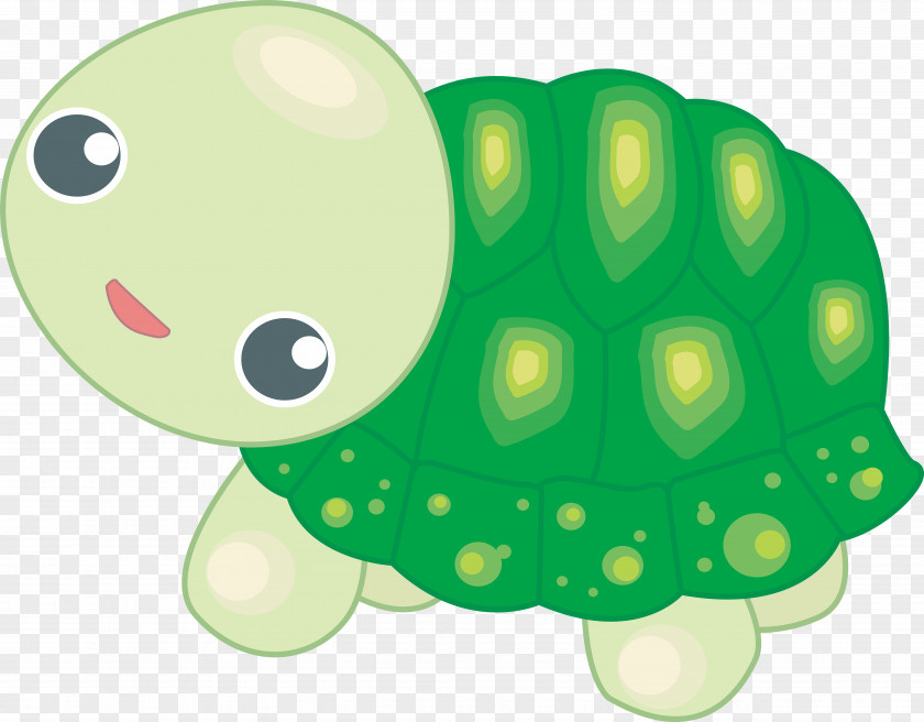 Cartoon Turtle Vector Frog Clip Art PNG