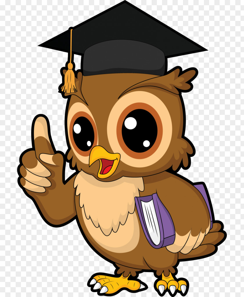 Owl Bird Science, Technology, Engineering, And Mathematics Clip Art PNG
