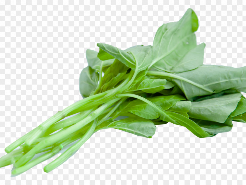 Vegetable Vegetarian Cuisine Spinach Salad Transparency PNG