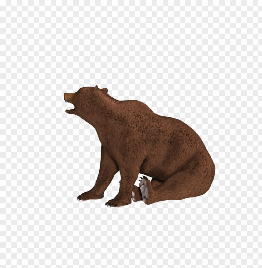 Bear Cub Grizzly Digital Art Poser DAZ Studio PNG