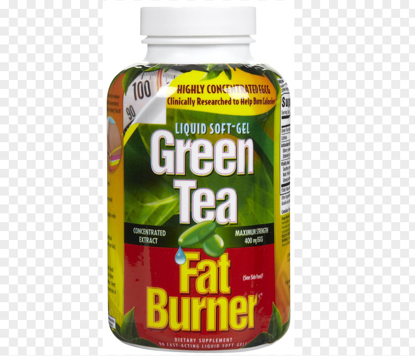 Green Tea Dietary Supplement Weight Loss Fatburner PNG