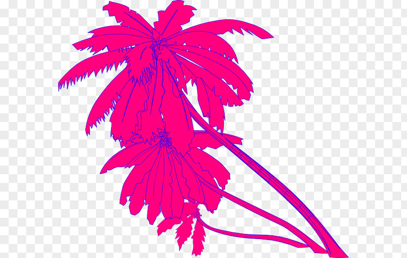 Tree Arecaceae Clip Art PNG