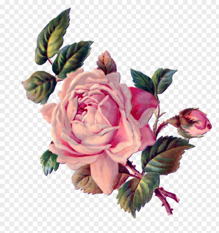 Victor Flower Decoupage Rose Clip Art PNG
