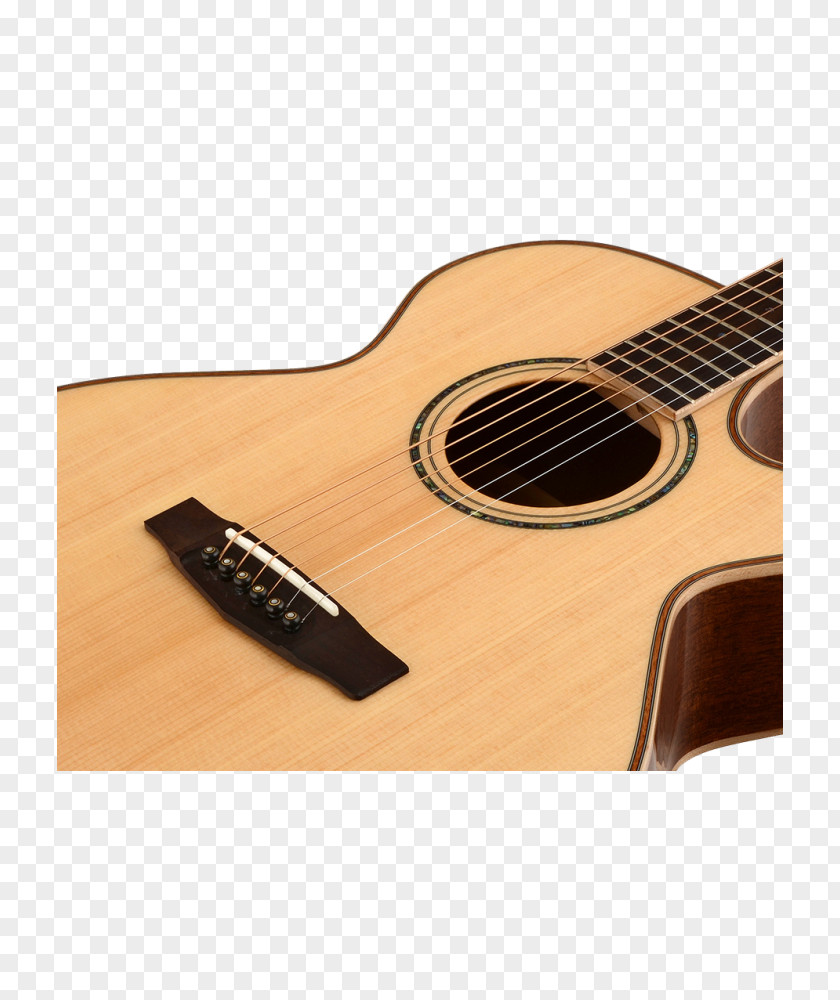 Acoustic Guitar Acoustic-electric Bass Tiple PNG