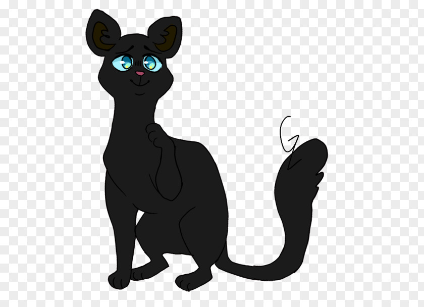 Cat Whiskers Black Reedwhisker Art PNG