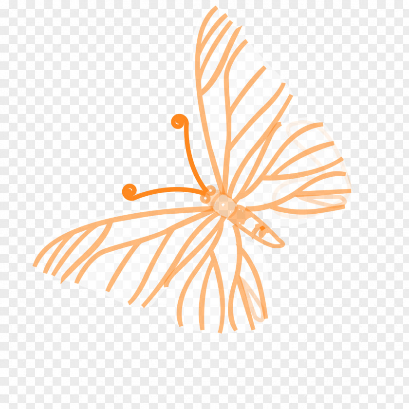 Dragonfly Lines Illustration PNG