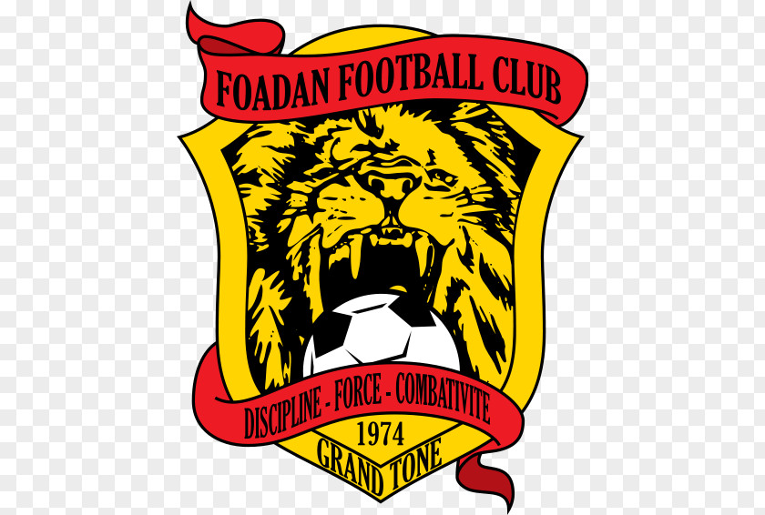 Football Foadan FC Lomé Togolese Championnat National Dynamic Togolais Dapaong PNG