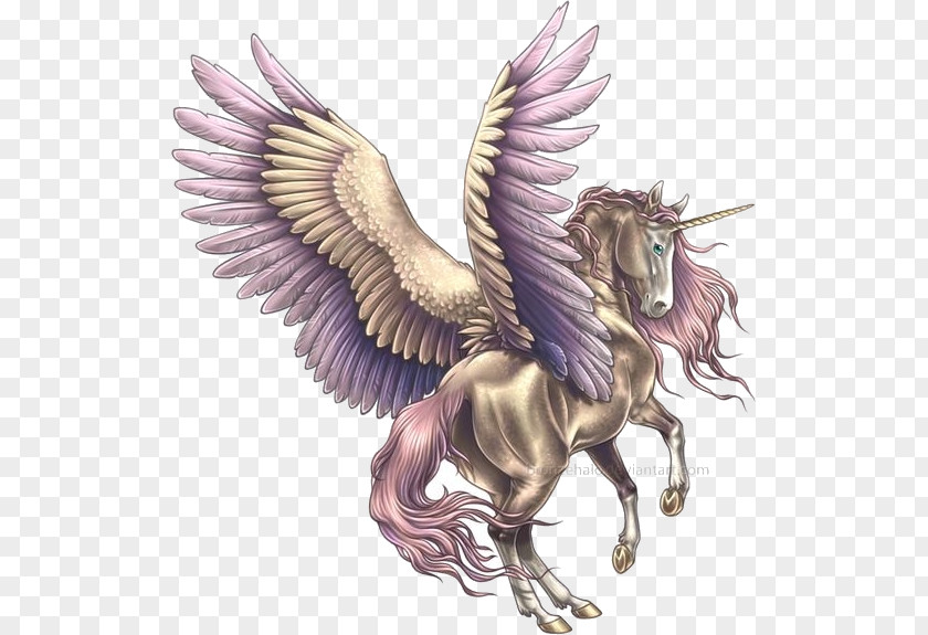 Horse Legendary Creature Pegasus Unicorn Drawing PNG