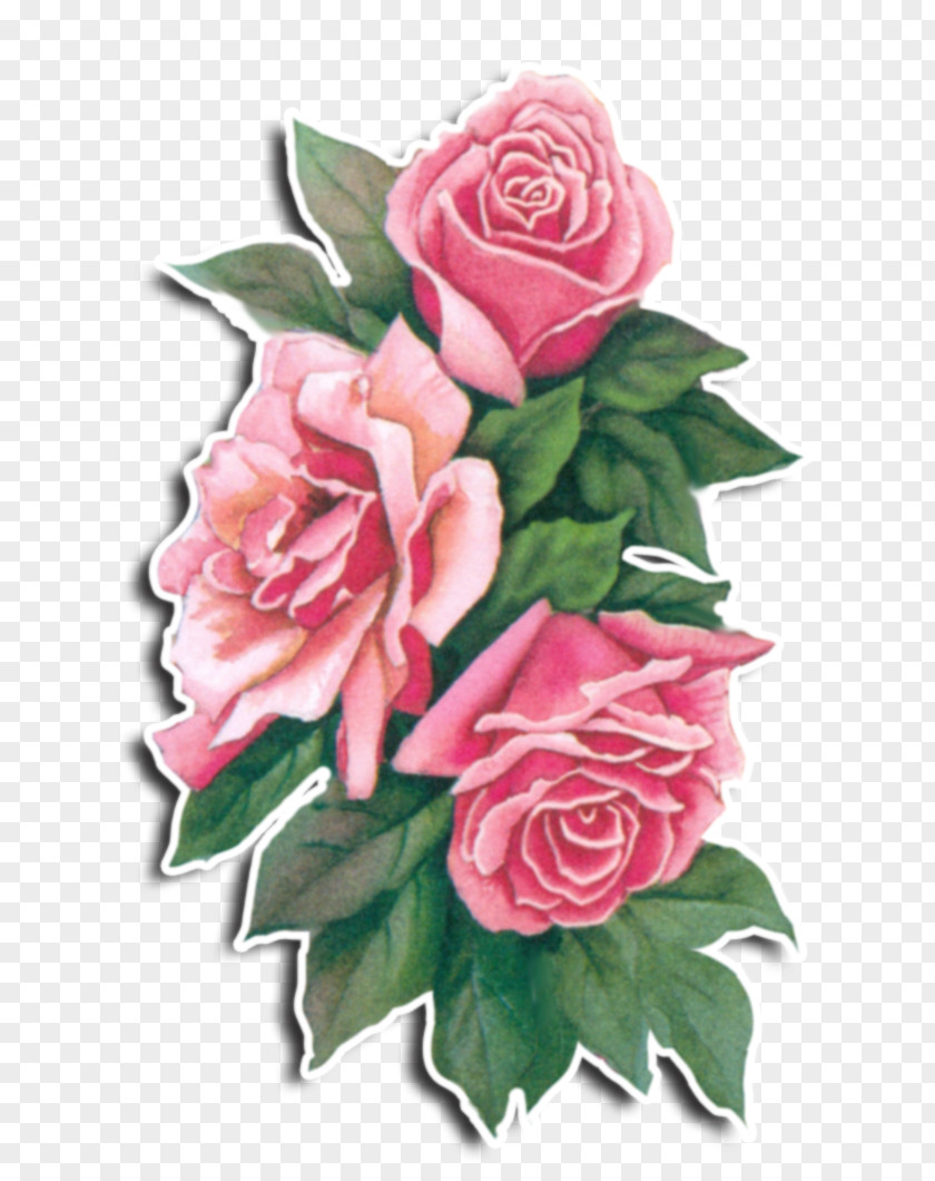 Image Bouquet Of Flowers Garden Roses Centifolia Flower Floral Design PNG