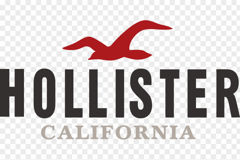 Laptops Hollister Co. Hoodie Clothing Casual PNG