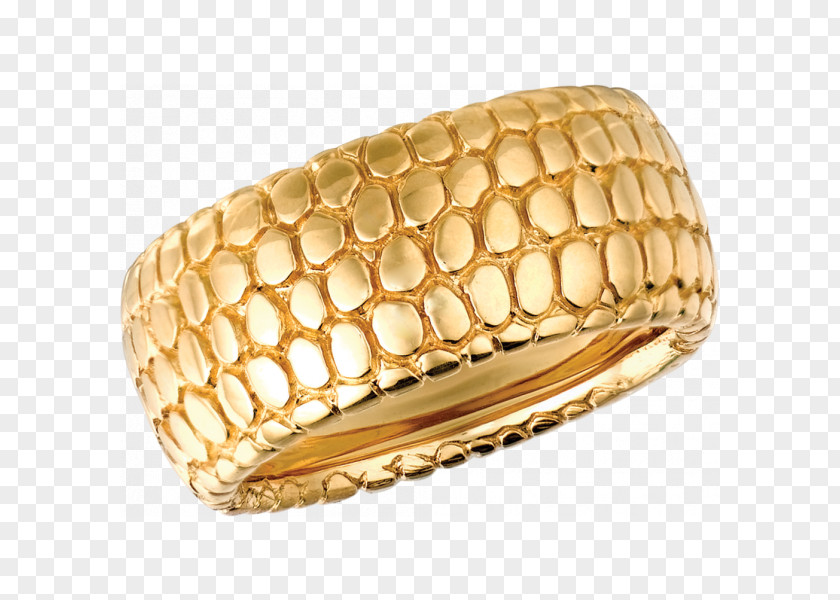 Ring Eternity Colored Gold Jewellery PNG
