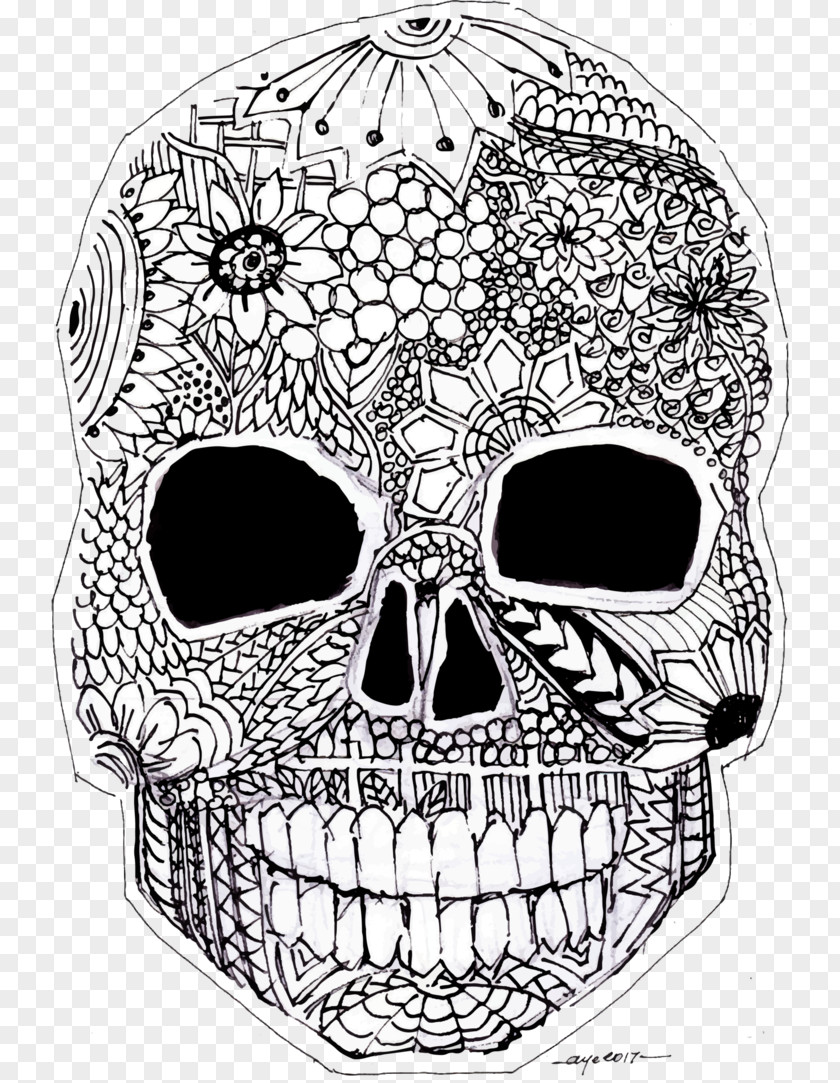 Skull Calvaria Bone Jaw Drawing PNG