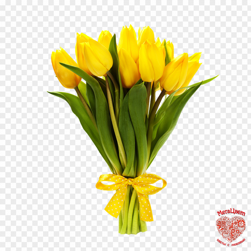 Tulip I Wandered Lonely As A Cloud Stock Photography Flower PNG
