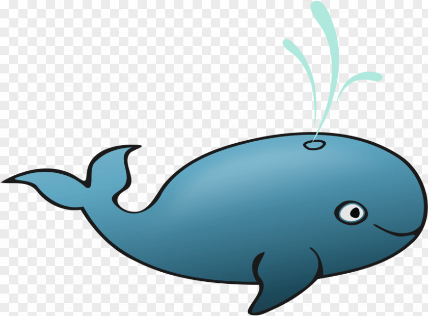 Whale Cetacea Cartoon PNG