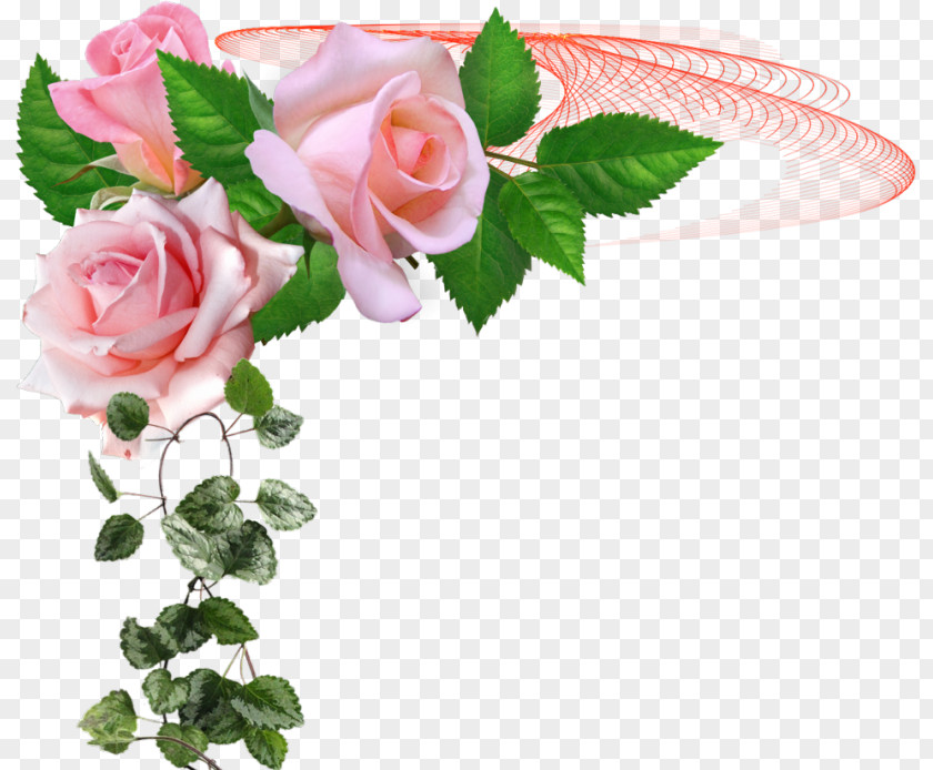 Garden Roses Floral Design Cut Flowers PNG