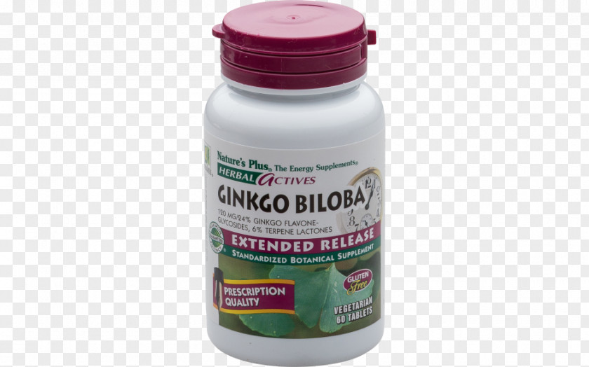 Ginkgo-biloba Dietary Supplement Nutrient Vitamin Sales PNG