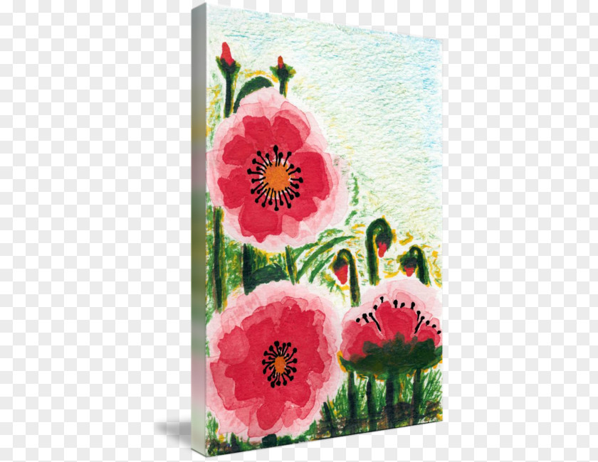 Poppy Field Floral Design Watercolor Painting Acrylic Paint PNG