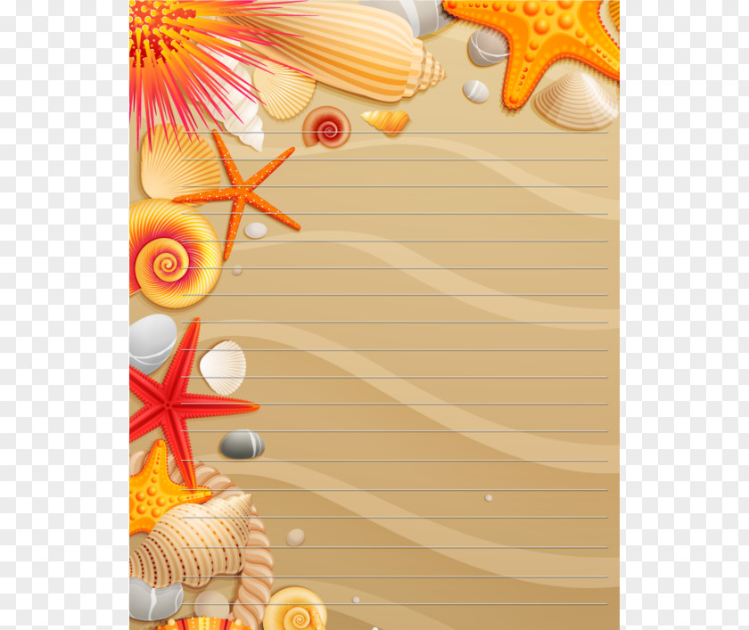 Starfish And Sea Urchins Shells Poster Seashell Euclidean Vector PNG