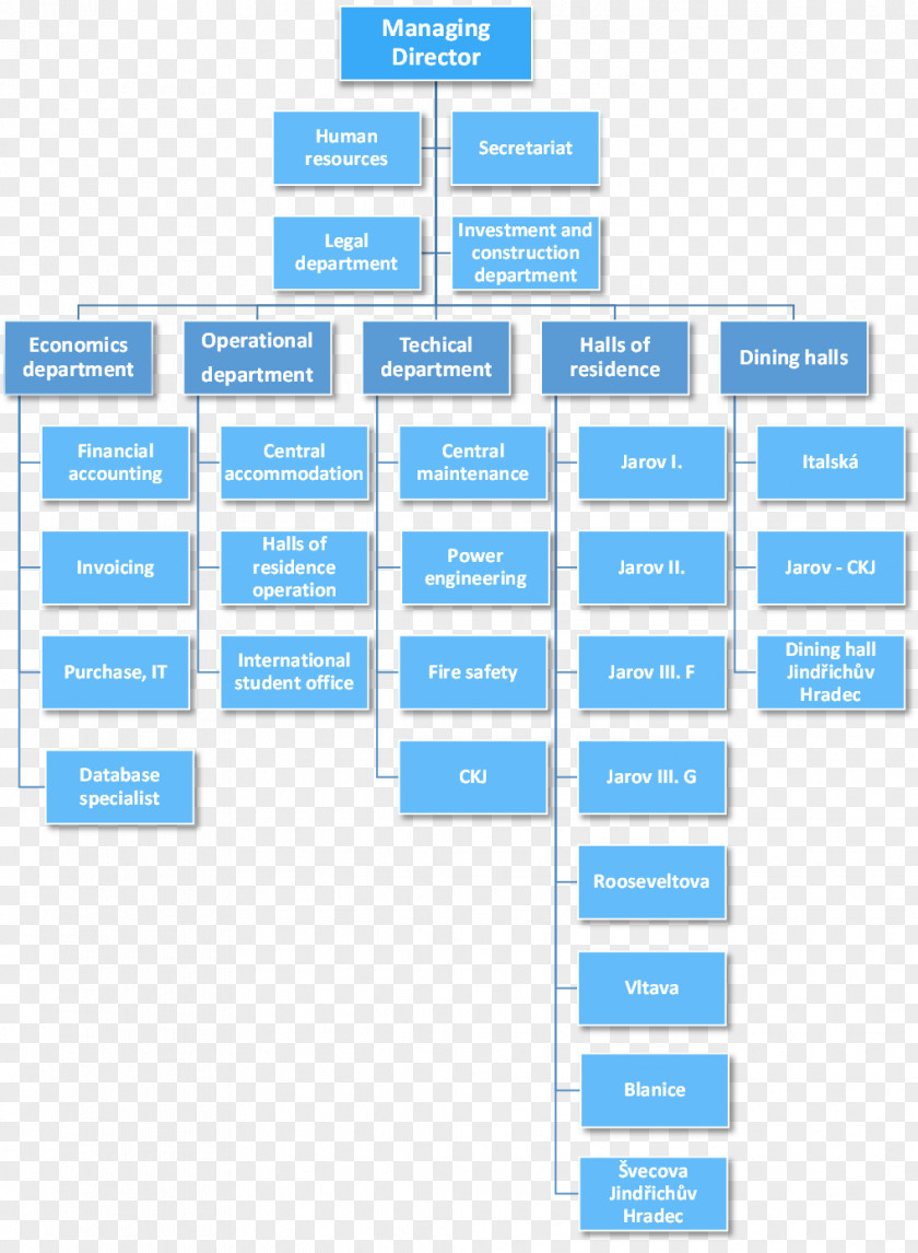 University Dormitory Organizational Chart Structure Company Management PNG