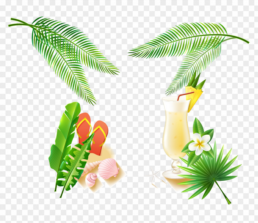 Vector Beach Leaf Flowerpot Fruit PNG