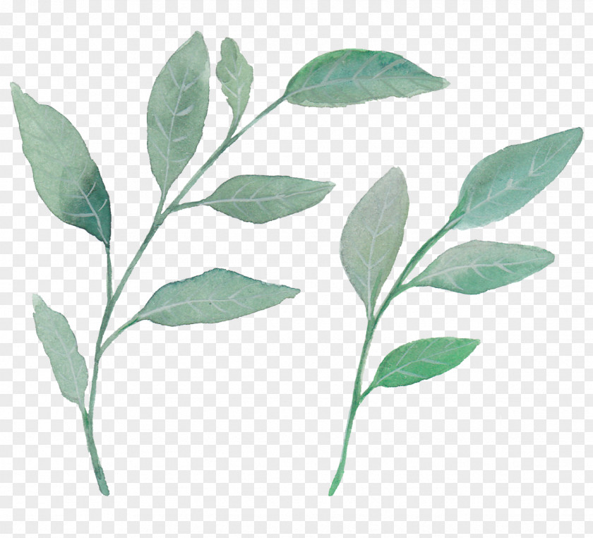 Watercolor Wind Fresh Green Leaves Leaf Painting Plant PNG