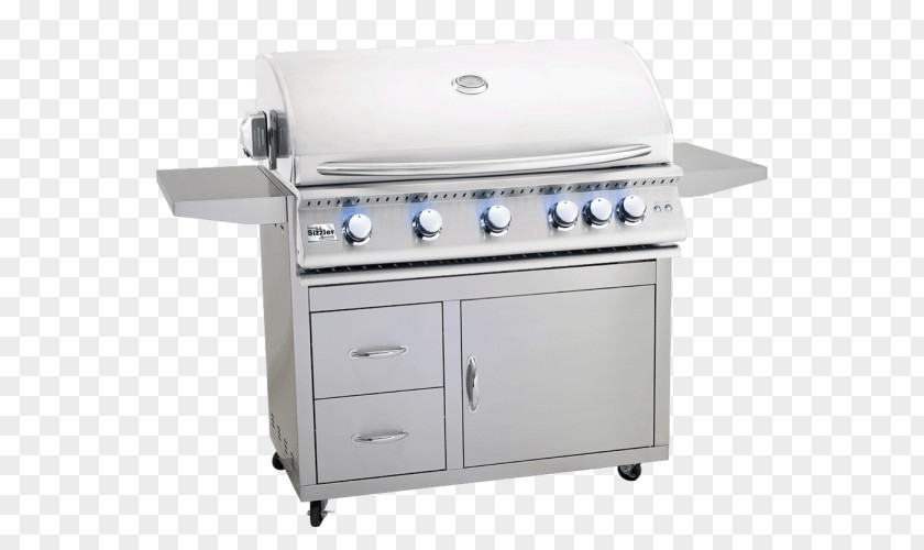 Barbecue Grilling Sizzler Cooking Ranges Rotisserie PNG