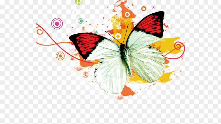 Butterfly South Korea Visual Design Elements And Principles PNG