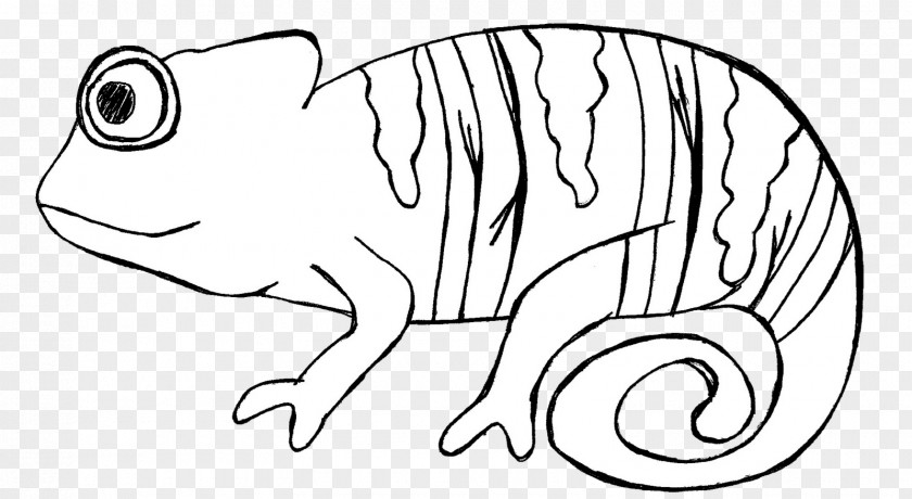 Chameleon Line Art Drawing Clip PNG