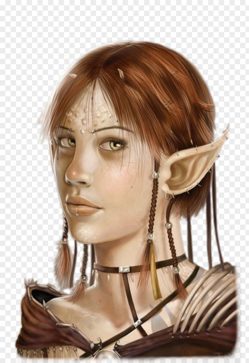 Elf Fairy Dungeons & Dragons High Fantasy PNG