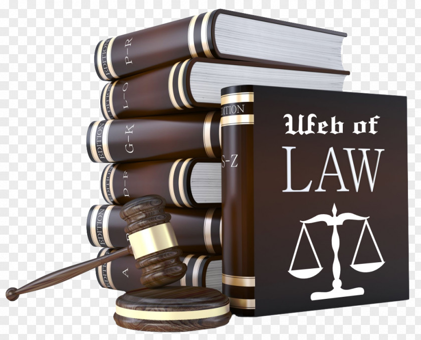 Lawyer Criminal Defense Advocate Law Firm Bar Examination PNG