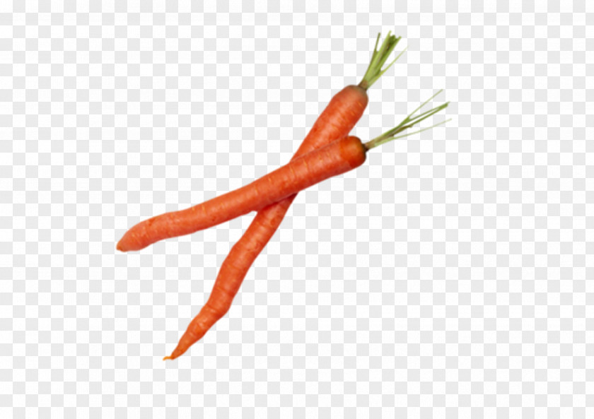 Vegetable Carrot Chili Pepper Cooking Culinary Art PNG